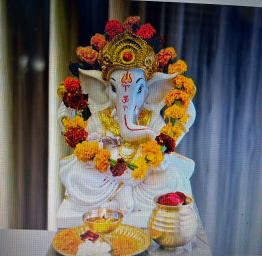 Food & Drinks 5, Hotel Delhi Darshan -By RSL Hospitality, Delhi