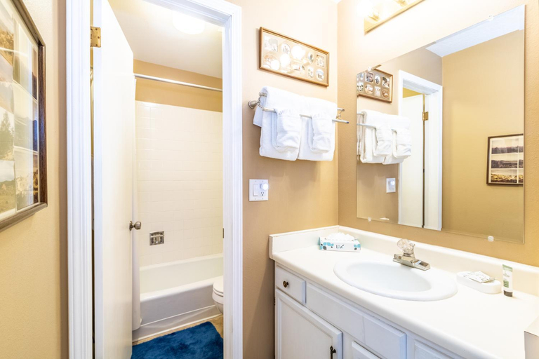 Bathroom, Dillon Valley East #301Q, Summit