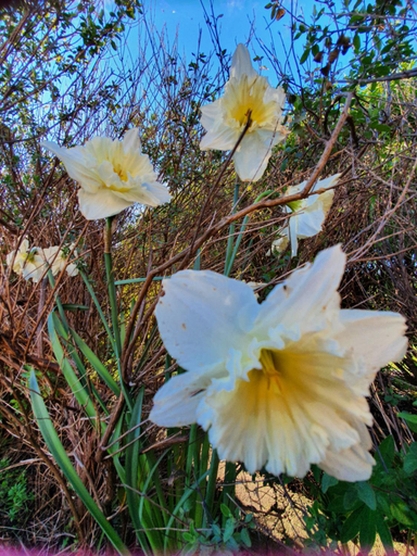 Others 4, Hamlet Downs Country Accommodation, Central Highlands