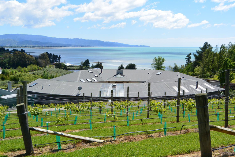 Others 5, Windhover Suites, Tasman