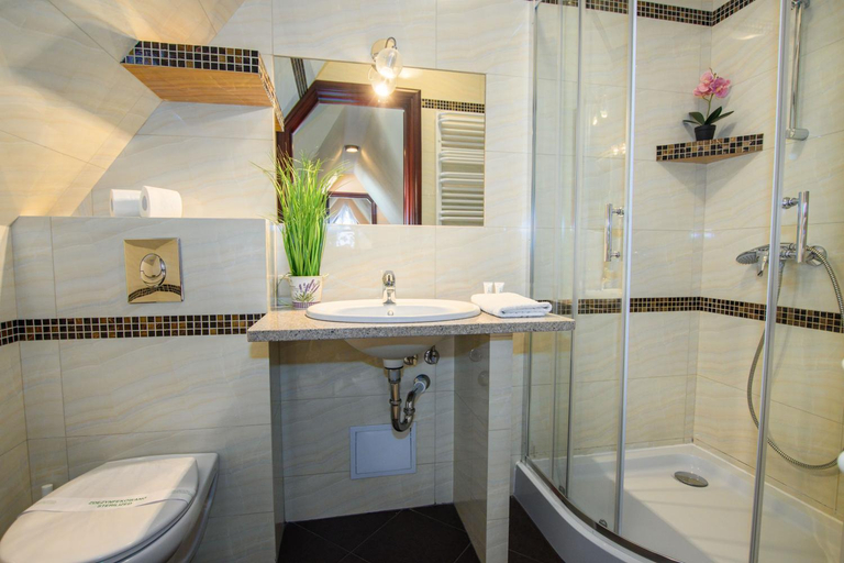 Bathroom 3, Willa Sonia, Tatra