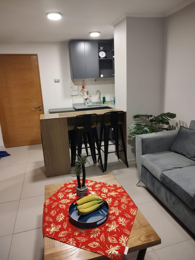 Others 3, Excelente departamento en Santiago, Santiago