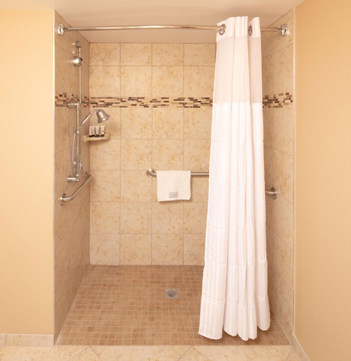 Bathroom 4, Radisson Hotel Orlando Lake Buena Vista South, Osceola
