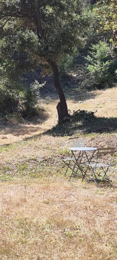 Others 4, LES BOIS DE ZOLA entre Provence et Luberon, Bouches-du-Rhône