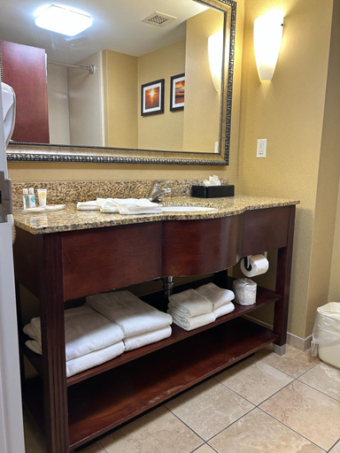 Bathroom 4, Comfort Suites Palm Bay - Melbourne, Brevard