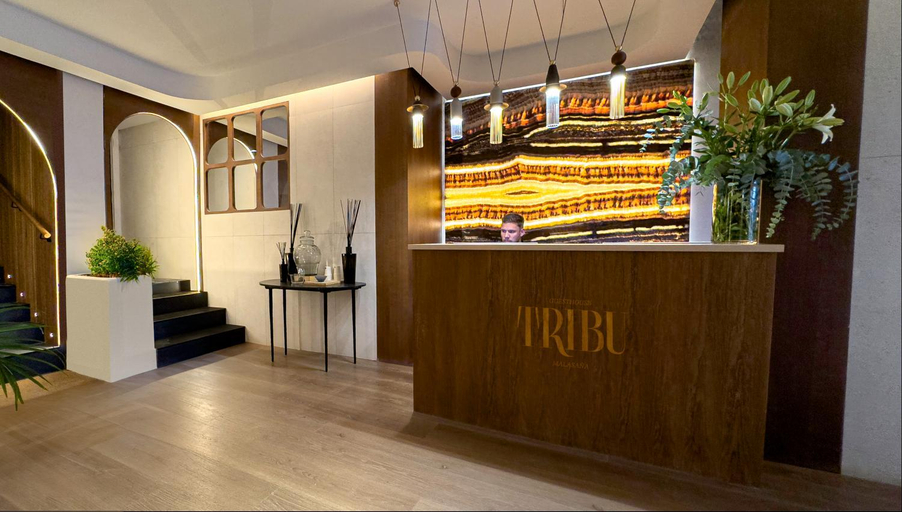 Public Area 2, Tribu Malasaña, Madrid
