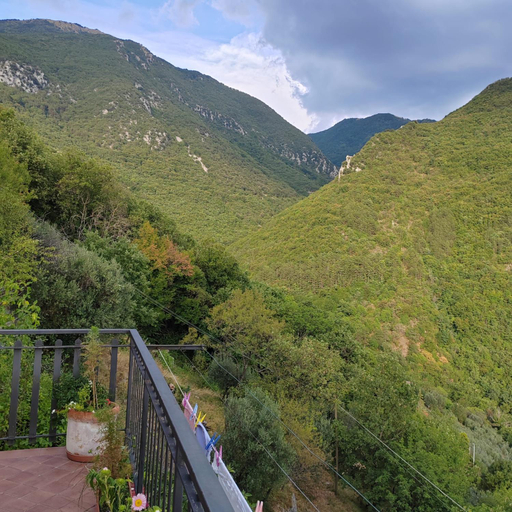 Scenery 13
