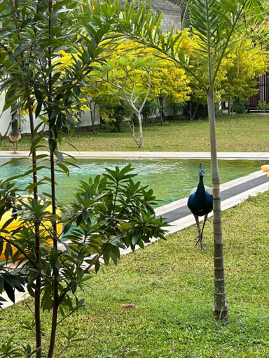 Others 2, Cozy Villa, Hikkaduwa