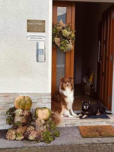 Others 3, Casa Castegner - Rooms, Belluno