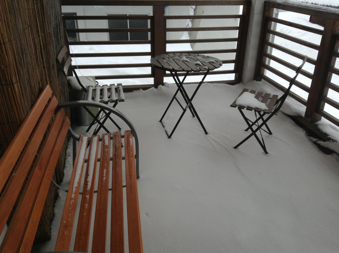 Others 5, Minamiya 山とねこと遊ぶ宿 みなみ家, Hakuba