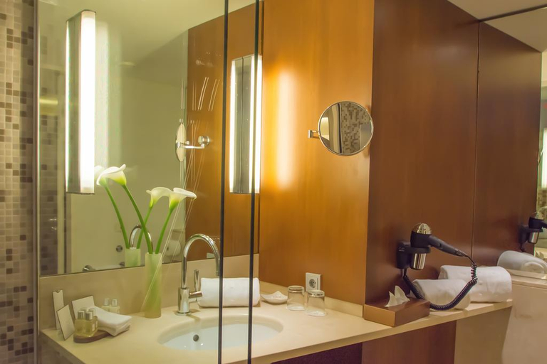Bathroom 4, The Penz Hotel, Innsbruck