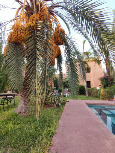 Sport & Beauty 2, Riad sheherazade Marrakech, Marrakech