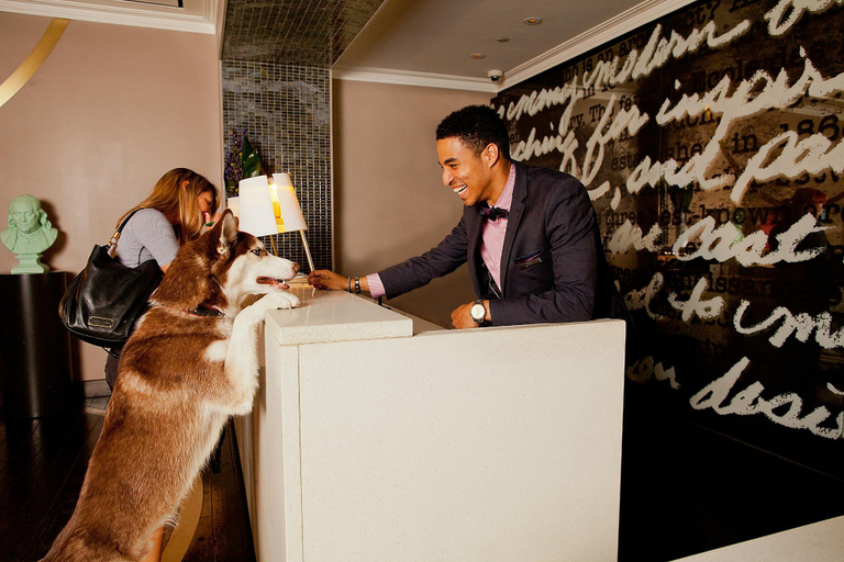Public Area 4, Kimpton HOTEL PALOMAR PHILADELPHIA by IHG, Philadelphia