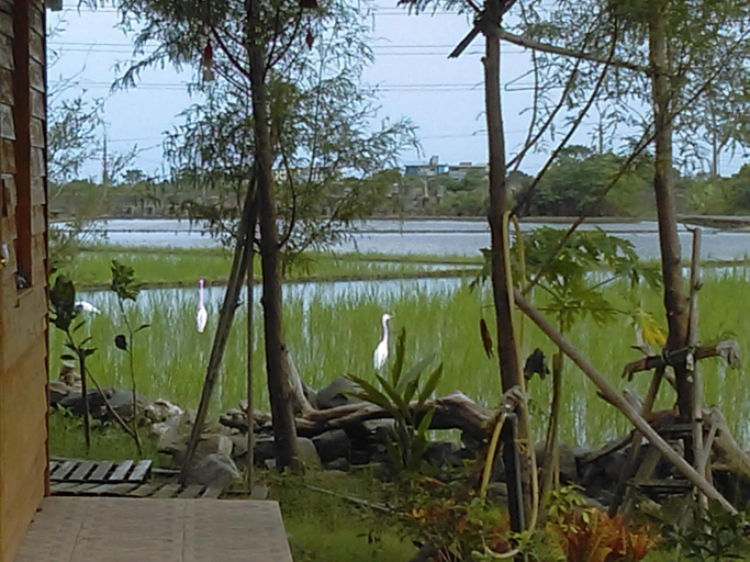 Scenery 7
