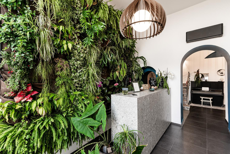 Public Area, Luxury B&b Euphorbia, Catania
