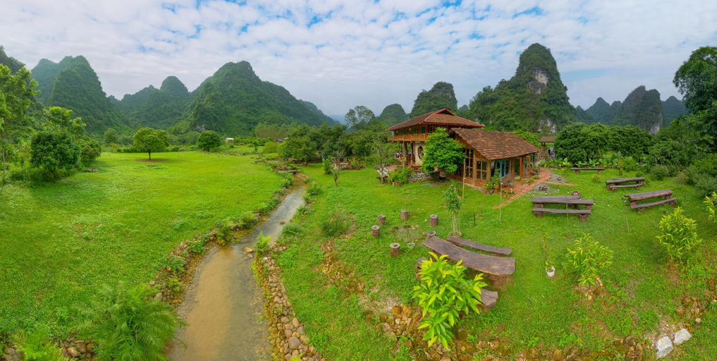 Surrounding environment