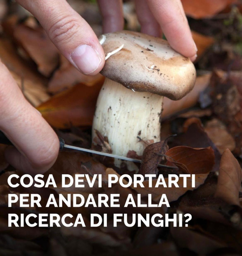 Food & Drinks, La Cava di Terzo, Massa Carrara