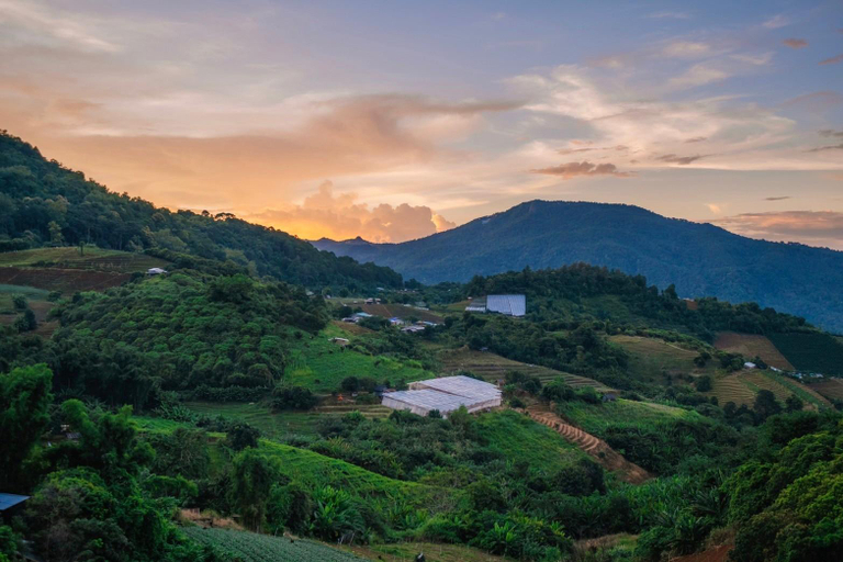 Others 3, Sukkamon Homestay, Mae Rim