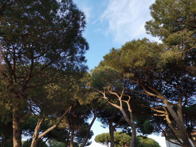 Scenery 12