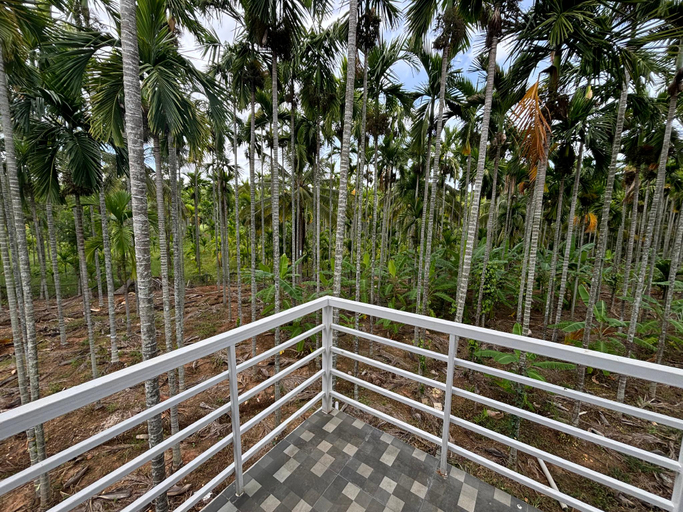 Others 4, Sirivasa Homestay Chikamagalur, Chikmagalur