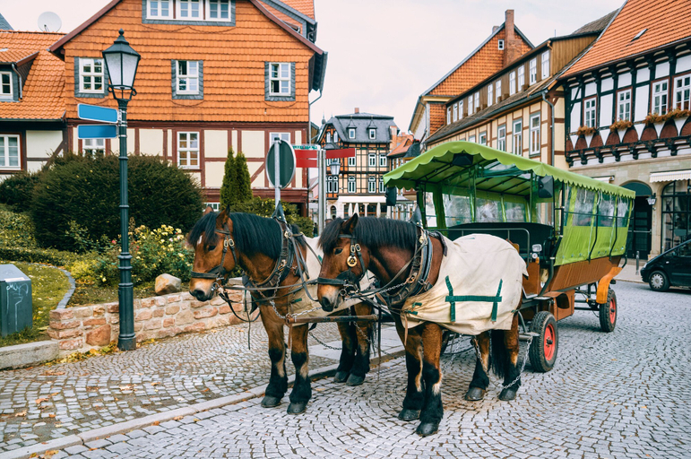 Exterior & Views 2, Regiohotel Bunte Stadt Wernigerode, Harz
