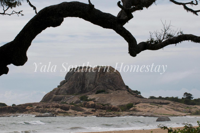 Others 4, Yala Southern Homestay, Thissamaharama