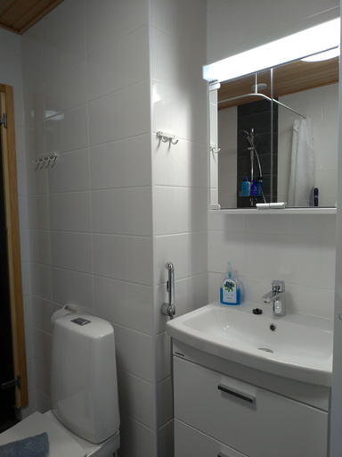 Bathroom 4, City Apartment, Central Finland