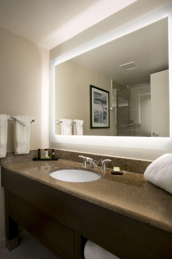 Bathroom 4, Embassy Suites by Hilton Cleveland Beachwood, Cuyahoga