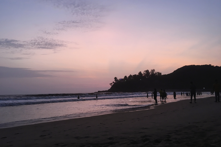 Others 3, Miia Bella Beach Cottage Resort, North Goa