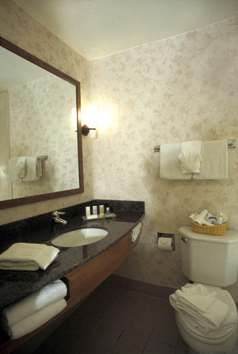 Bathroom 4, Evergreen Lodge at Vail, Eagle