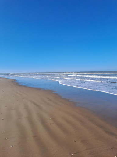 Others 5, Namarie 1, Pinamar