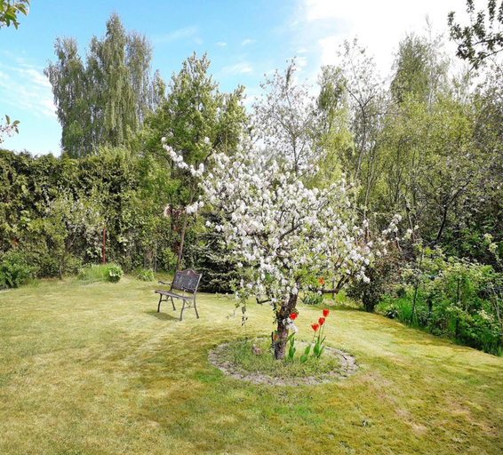 Garden 2, Ferienwohnung in der Hubschen Inselstadt Malchow, Mecklenburgische Seenplatte