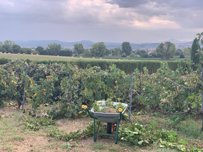 Others 5, Tuscany Heritage Exclusive - La Ceppa, Siena