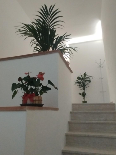 Others 4, Valdambra B&B, Arezzo
