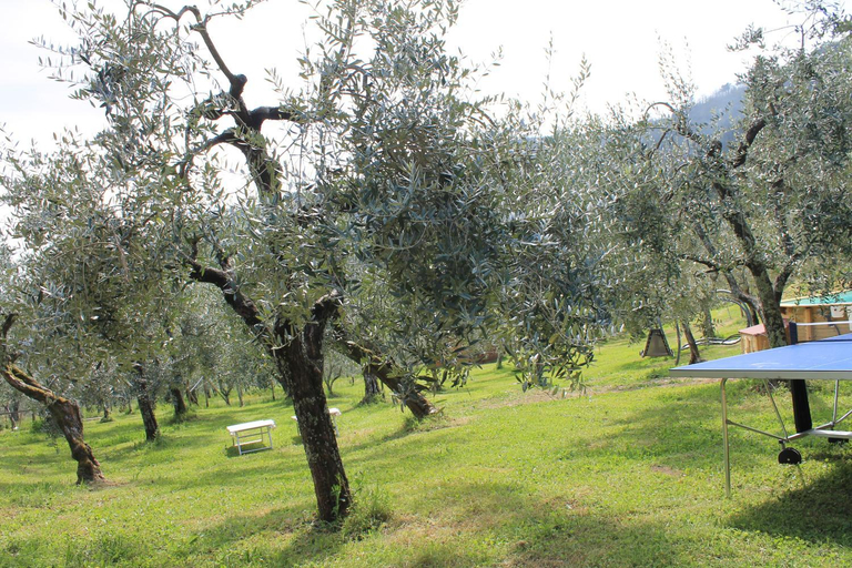 Others 5, ShaLeo Holiday Home, Pistoia