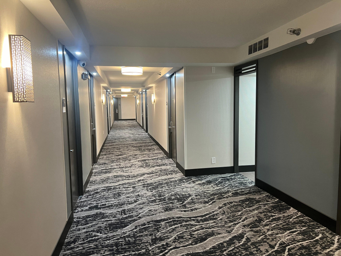 Public Area 3, Holiday Inn NASHVILLE DOWNTOWN - STADIUM, Davidson