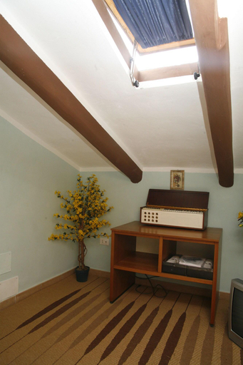 Public Area, B&B Cindy, Pisa