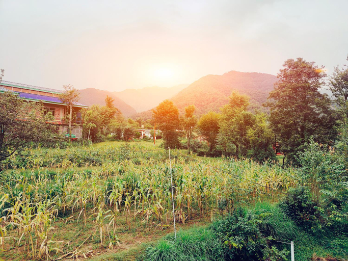 Others 2, Aditya Homestay Bir-Billing surrounded by Mountains, Kangra