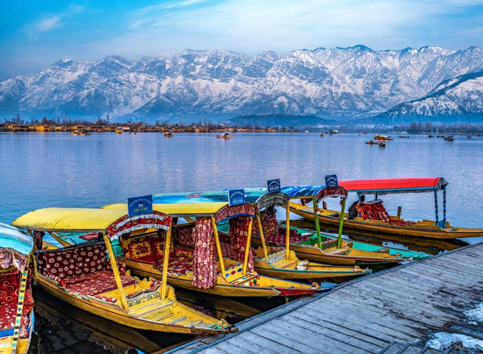 Others 3, Moonlight Homestay, Srinagar