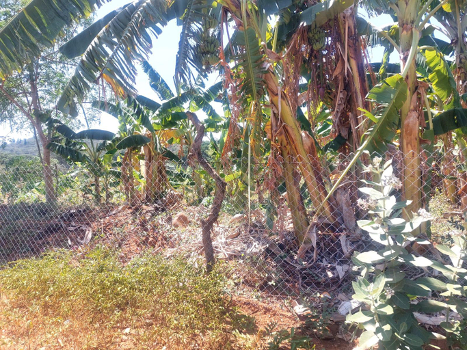Others 2, GO2 Village Homestay, Krishnagiri