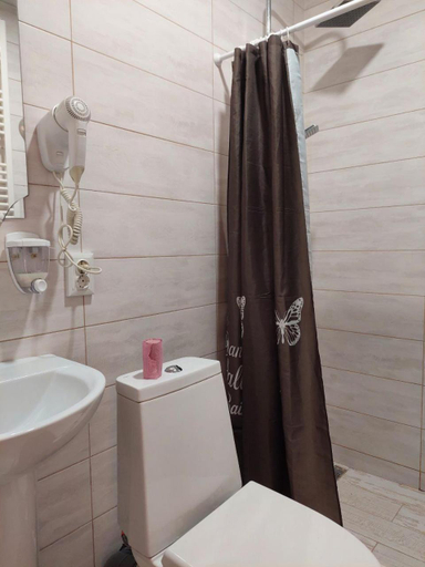 Bathroom 4, Pid Horbkom, Mizhhirs'kyi