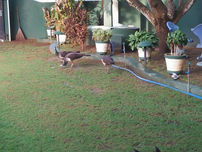 Others 5, Better Yala Home, Thissamaharama