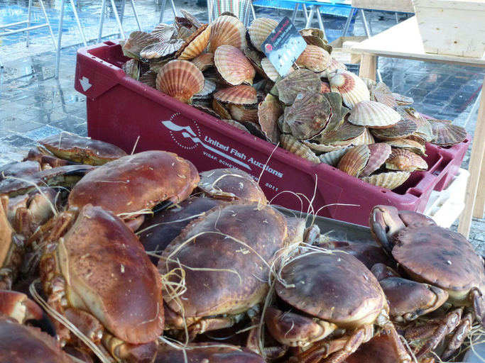 Food & Drinks 4, Holiday Home near Val-Andre Beach Golf, Côtes-d'Armor