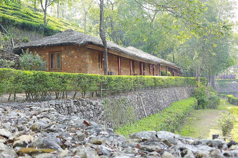 Others 4, SAJ Vagamon Hideout, Idukki