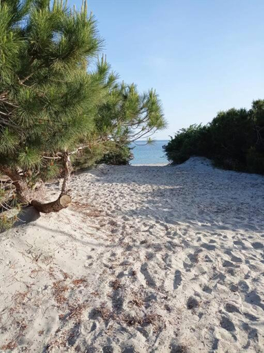 Surrounding environment 4, Savoia 32, Carbonia-Iglesias
