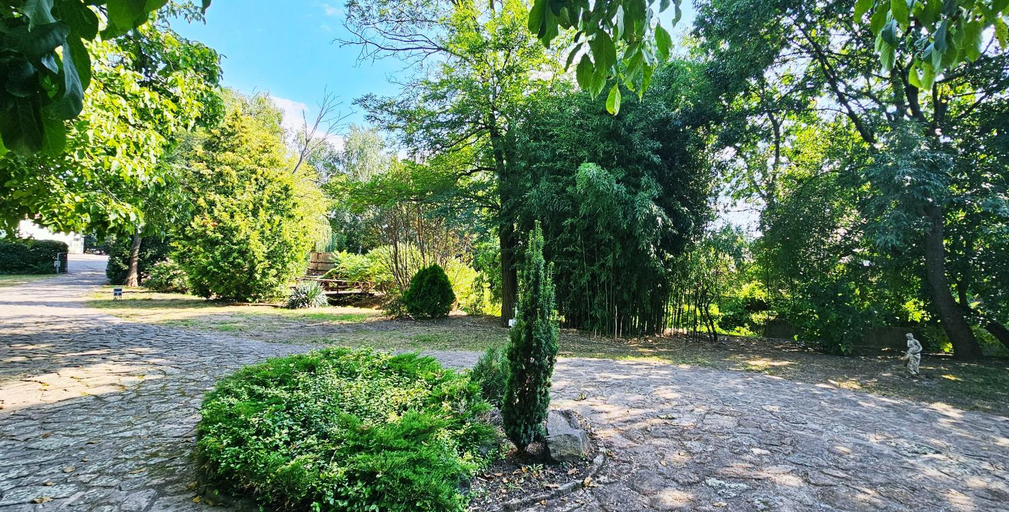 Others 3, Levendula Resort es Rendezvenykozpont, Mezőkövesdi
