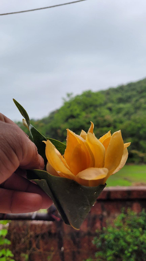 Others 4, Aranya Home Stay Malvan, Sindhudurg