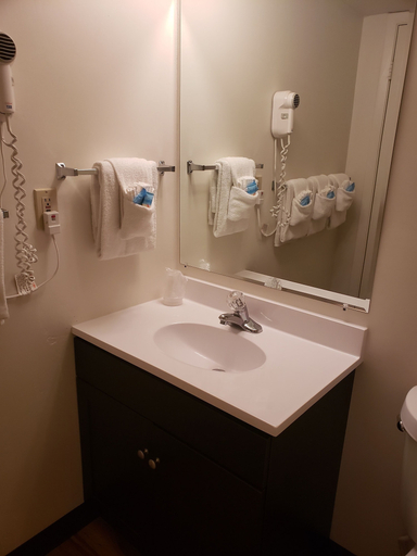 Bathroom 4, Flamingo Inn Beachfront, Volusia