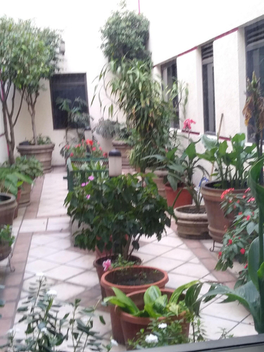 Public Area 4, Hotel Ambar, Mexico City