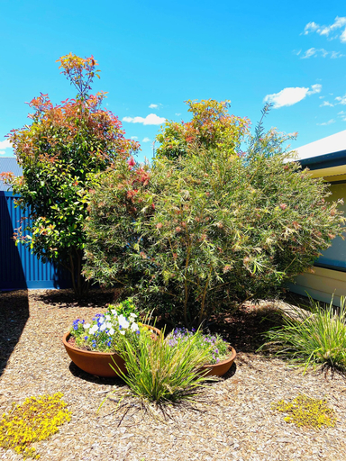 Others 5, Eastend Studio Apartments, Dubbo - Pt A